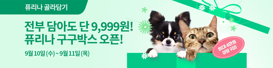 이벤트 배너영역