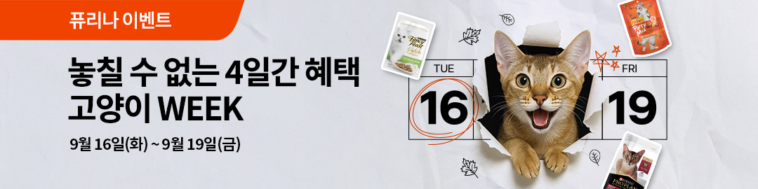 퓨리나 고양이 WEEK