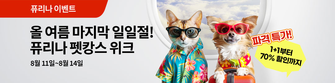 8월 일일절 이벤트
